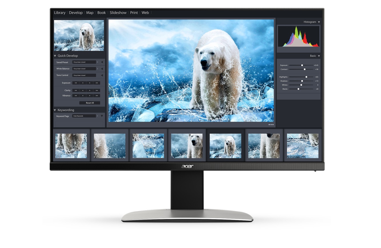 Monitory ACER
