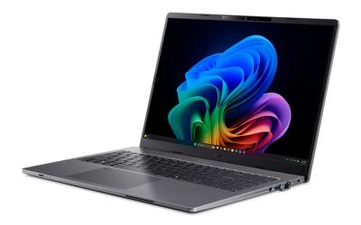 ACER TravelMate P2 TMP216-52-TCO-726Y  Steel Gray